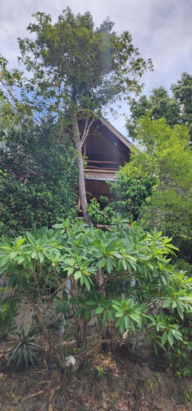 Why Nam Beach Haad Yuan Exterior photo